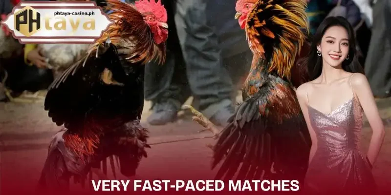 hack-fight-sabong-fast-match-duration