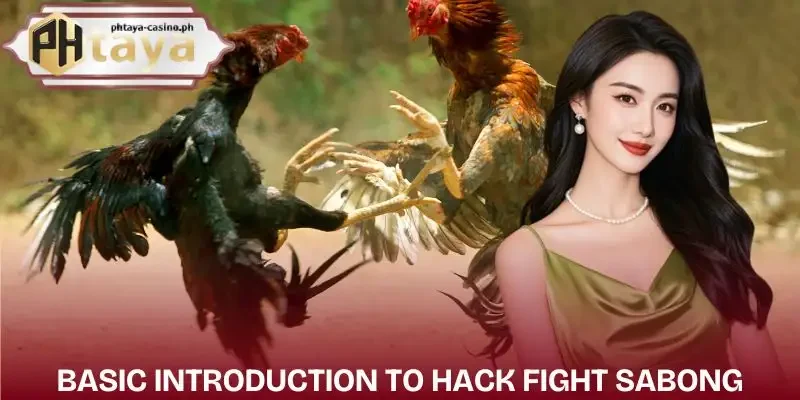 hack-fight-sabong-overview
