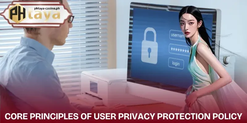 privacy-policy-principles