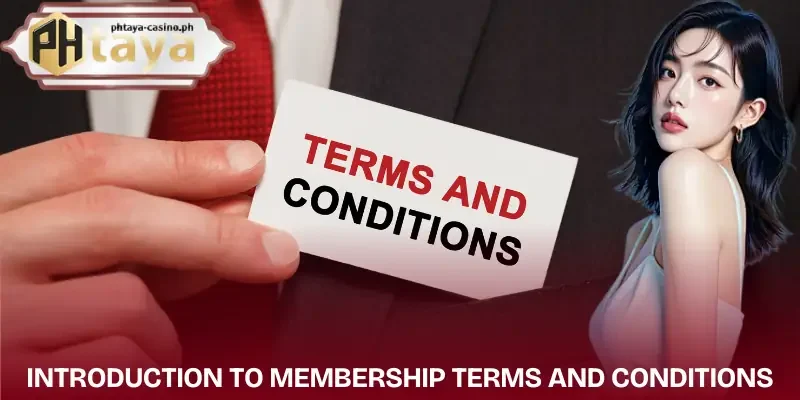 terms-and-conditions-introduction