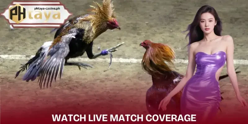 world-slasher-cup-2026-schedule-watch-each-match-live